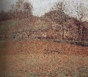 fields